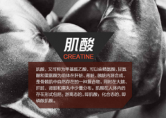 参加健美比赛能吃