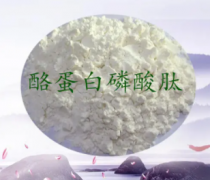 什么是酪蛋白对运动员有哪些好处