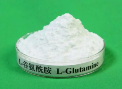 谷氨酰胺作用是什