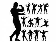 画健美造型素材寻