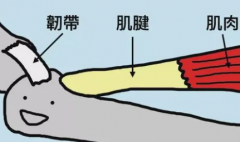 做健美操韧带损伤对策合适处理方法