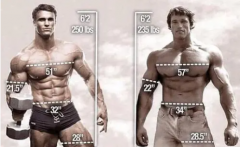 健美运动员计划和健身学校申请条件