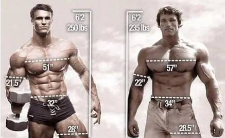 健美运动员计划