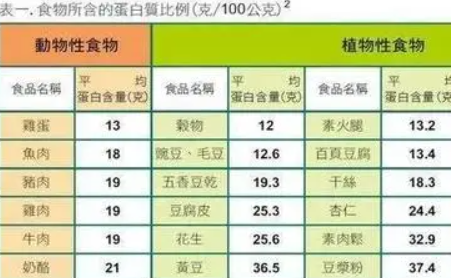 健美蛋白质标准