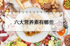 健美锻炼六大营养
