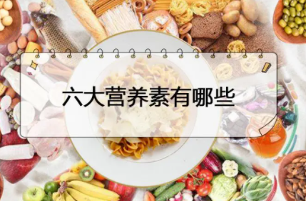 健美锻炼六大营养