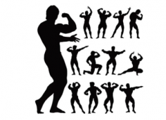 男子标准健美姿势动作全身肌肉锻炼