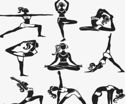 健美新动作展示