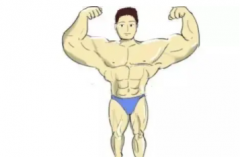 男子健美规定动作健美比赛动作要求